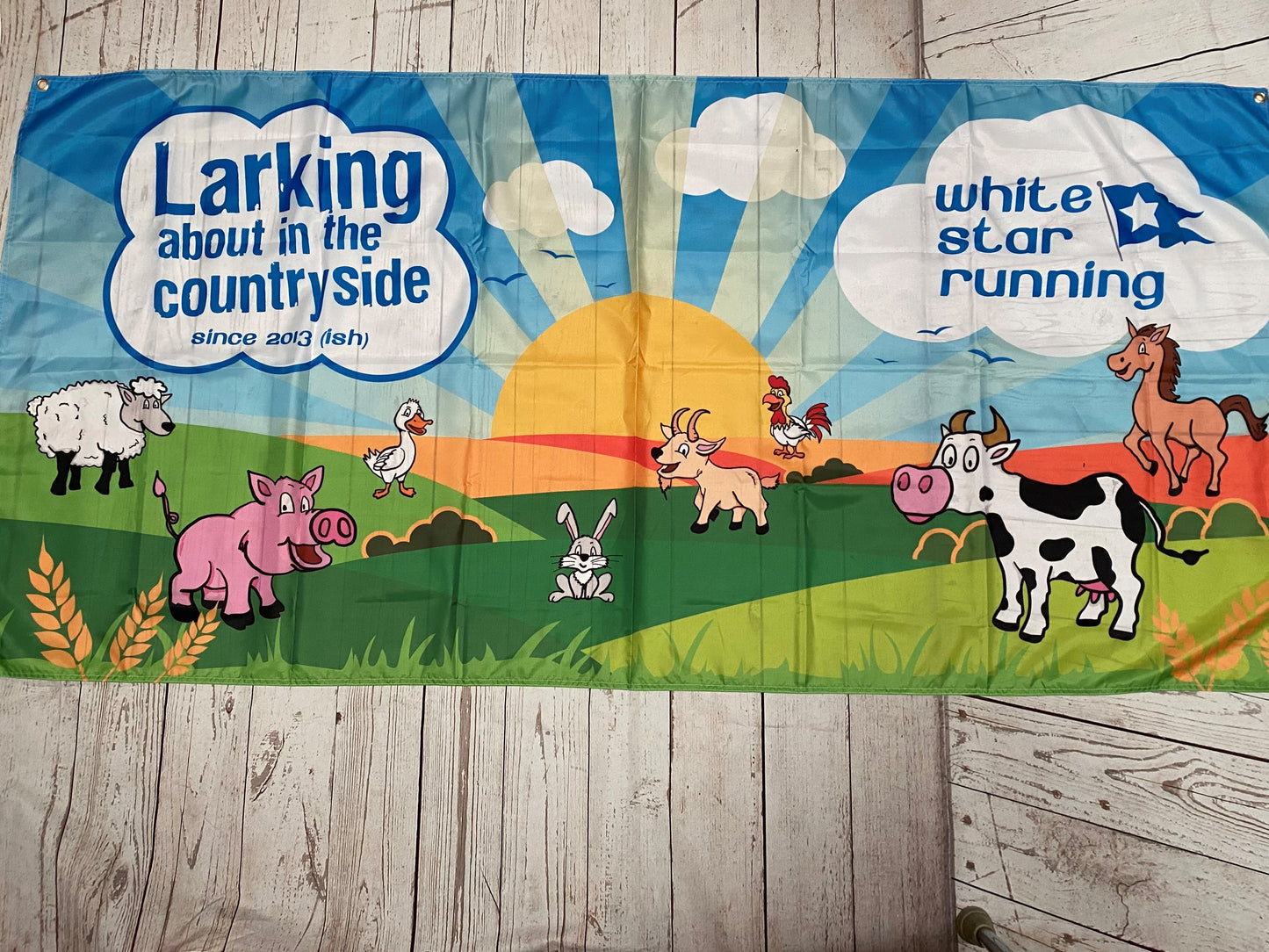 Larking About in the Countryside Flag